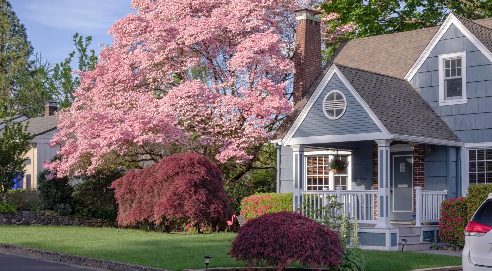 Family home and garden in Gresham Oregon surrounded in Spring colors.