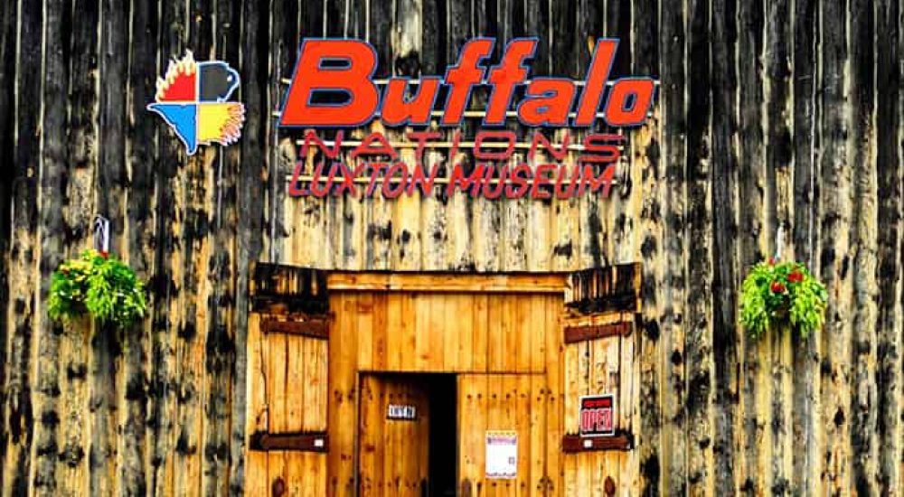 Buffalo Nations 5 (1)